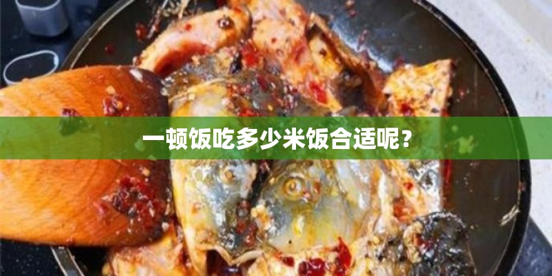 vivox6有那几款