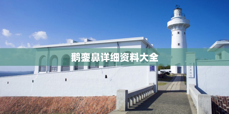 鹅銮鼻详细资料大全