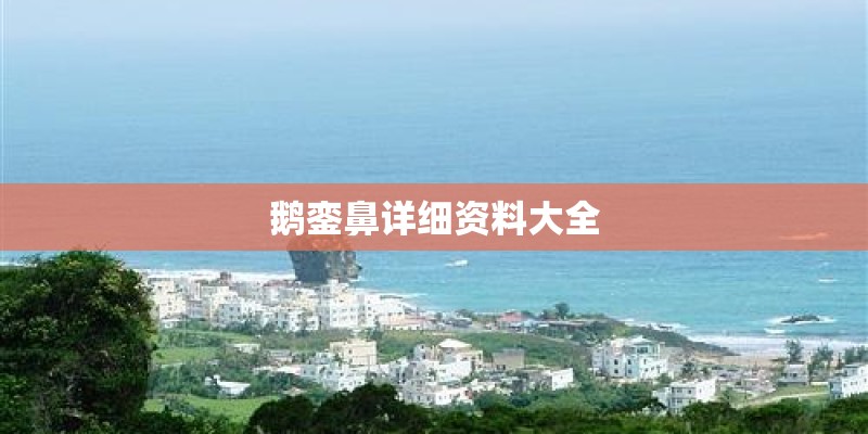 鹅銮鼻详细资料大全