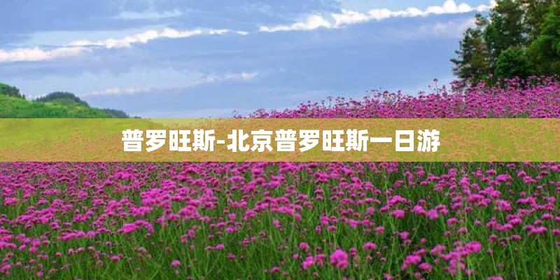 普罗旺斯-北京普罗旺斯一日游