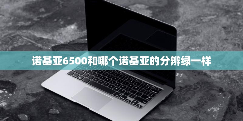 诺基亚6500和哪个诺基亚的分辨绿一样