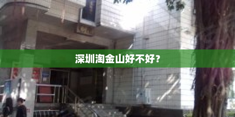 深圳淘金山好不好？