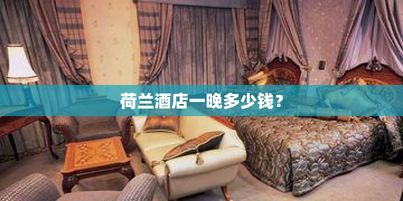 荷兰酒店一晚多少钱？