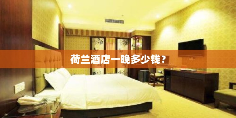 荷兰酒店一晚多少钱？