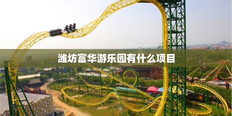 潍坊富华游乐园有什么项目