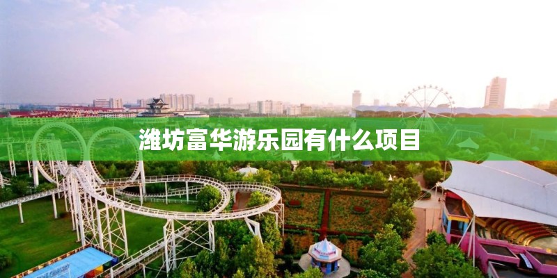 潍坊富华游乐园有什么项目
