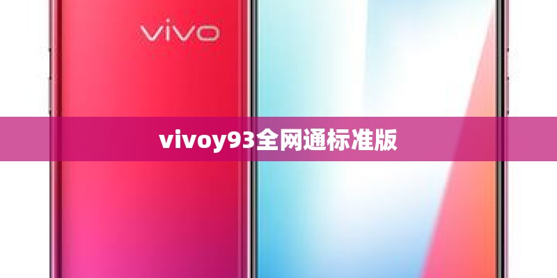 vivoy93全网通标准版