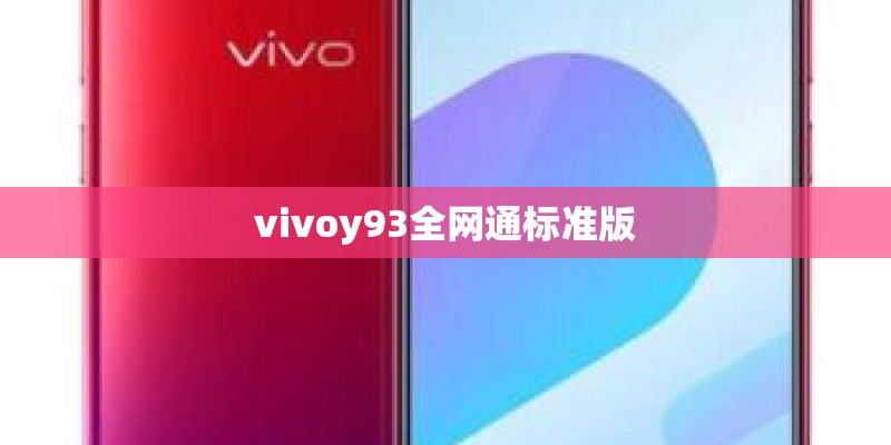 vivoy93全网通标准版 vivoy93全网通标准版