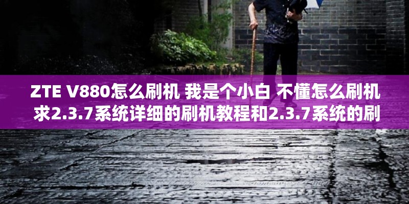 ZTE V880怎么刷机 我是个小白 不懂怎么刷机 求2.3.7系统详细的刷机教程和2.3.7系统的刷机包 懂得高手