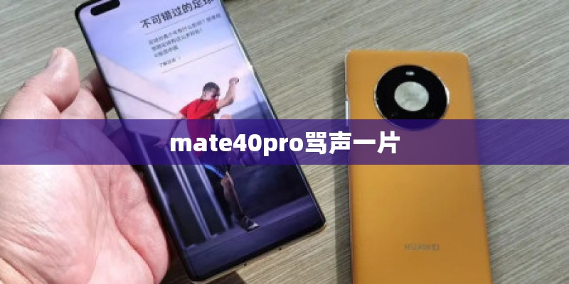 mate40pro骂声一片