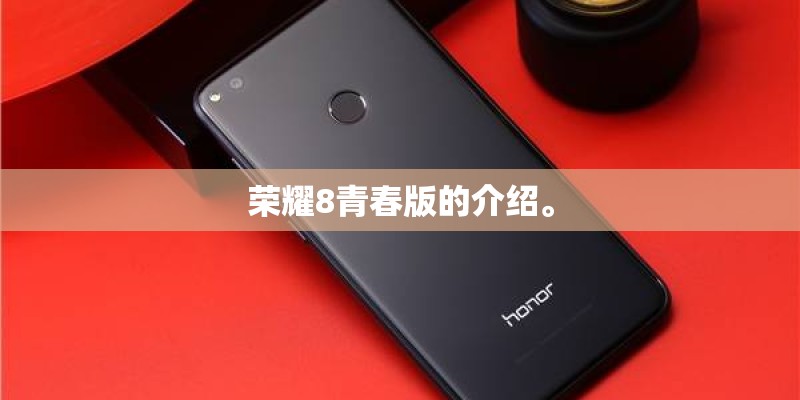 荣耀8青春版的介绍。