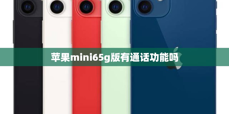 苹果mini65g版有通话功能吗