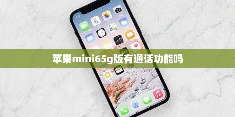 苹果mini65g版有通话功能吗