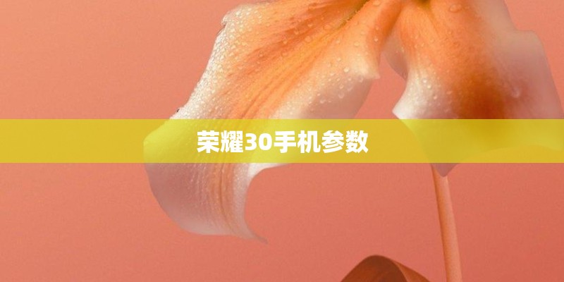 荣耀30手机参数