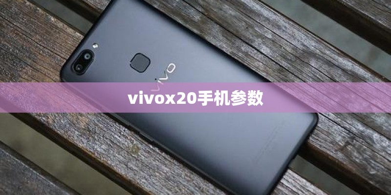 vivox20手机参数