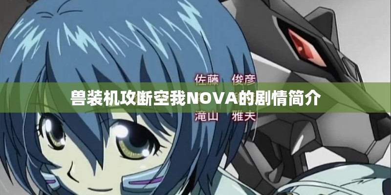 兽装机攻断空我NOVA的剧情简介 兽装机攻断空我NOVA的剧情简介