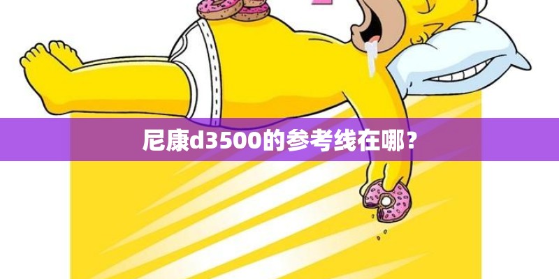 尼康d3500的参考线在哪？