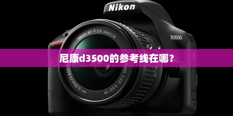 尼康d3500的参考线在哪？