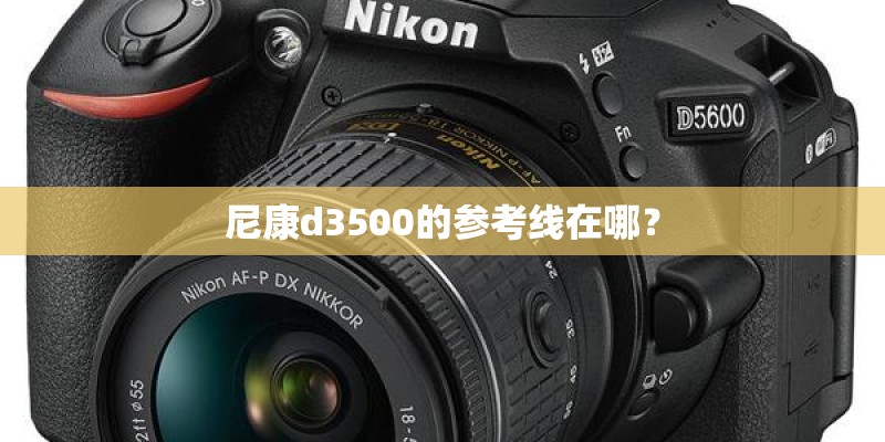尼康d3500的参考线在哪？