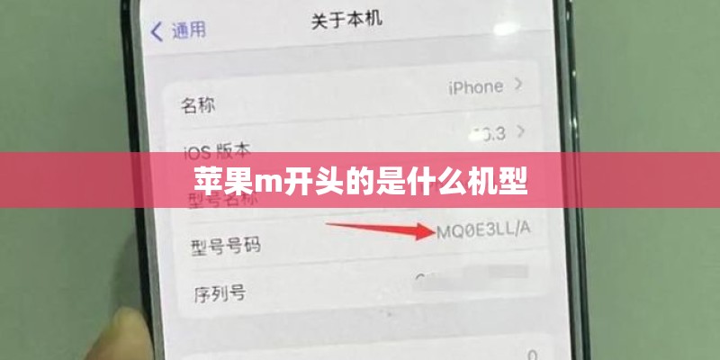 苹果m开头的是什么机型