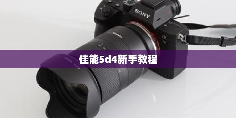 佳能5d4新手教程