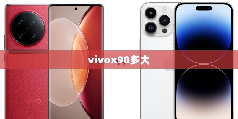 vivox90多大