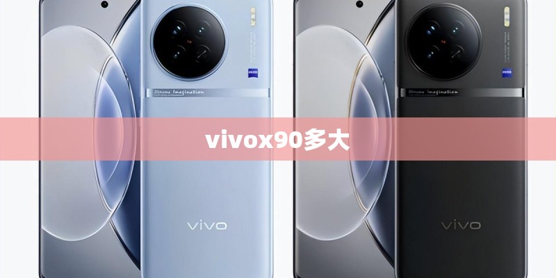 vivox90多大