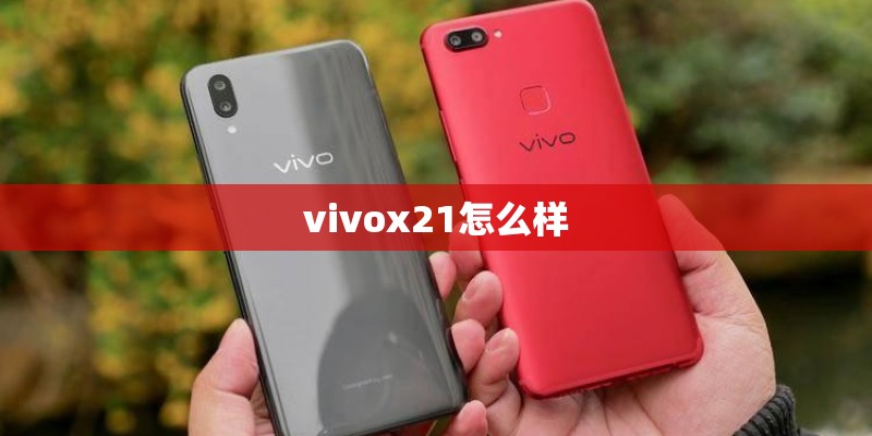 vivox21怎么样