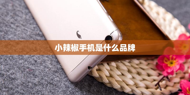 小辣椒手机是什么品牌