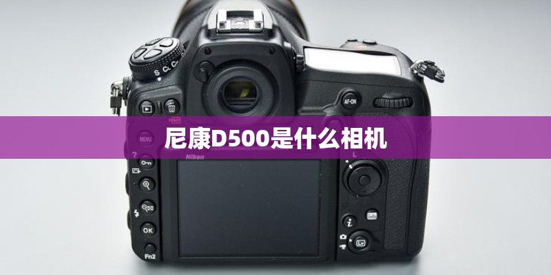 尼康D500是什么相机