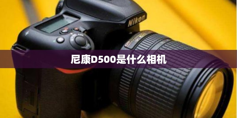 尼康D500是什么相机