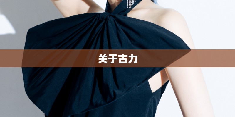 关于古力