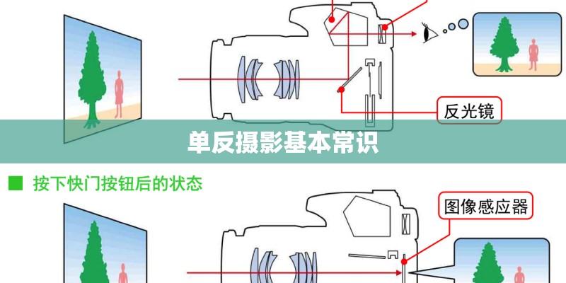 佳能5d4新手教程