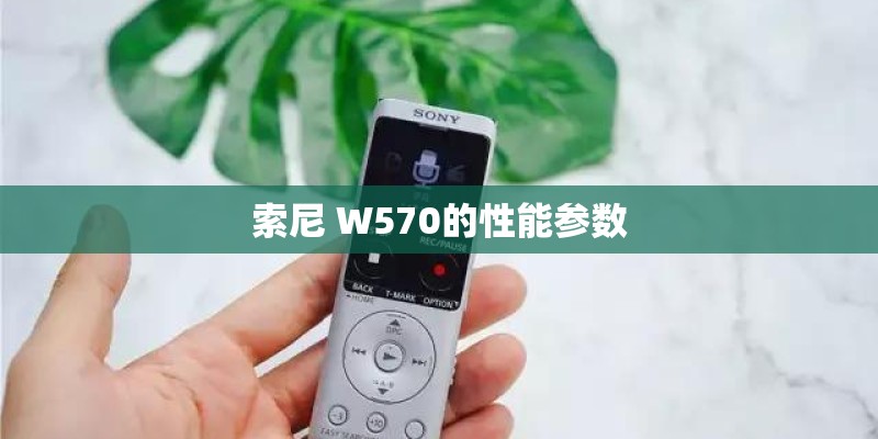 索尼 W570的性能参数