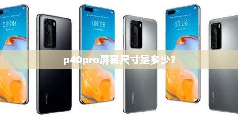 佳能5d4新手教程