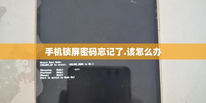 手机锁屏密码忘记了.该怎么办
