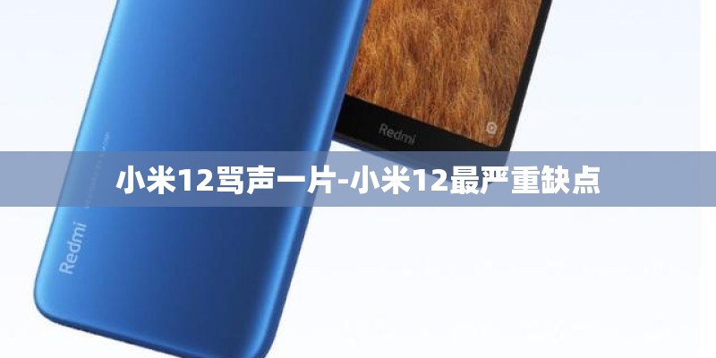 小米12骂声一片-小米12最严重缺点