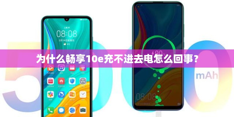 为什么畅享10e充不进去电怎么回事？