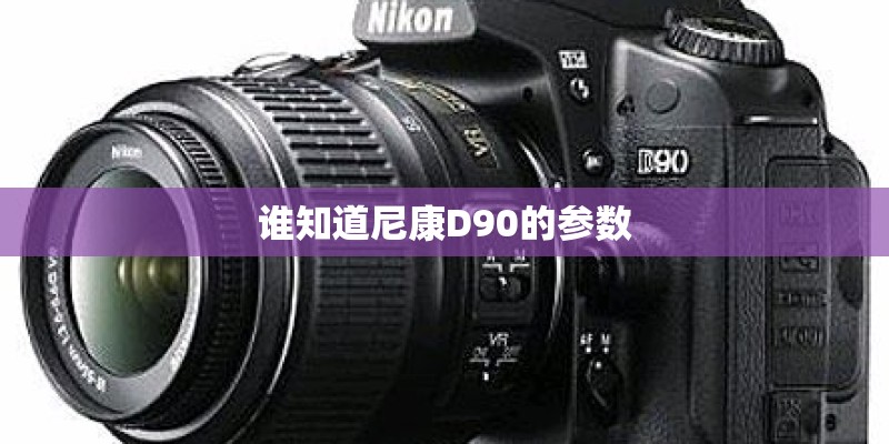 谁知道尼康D90的参数