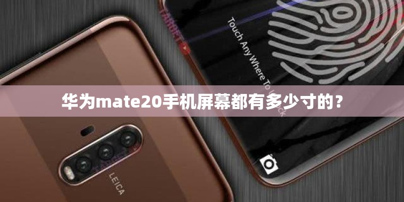 华为mate20手机屏幕都有多少寸的？