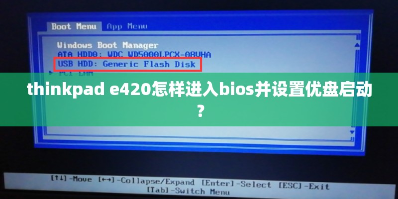 thinkpad e420怎样进入bios并设置优盘启动？